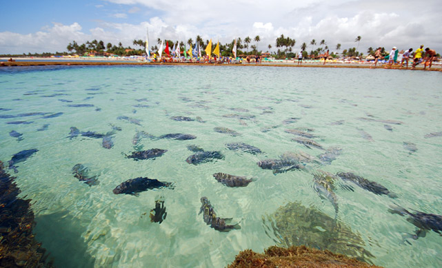 Porto-piscinas-naturais